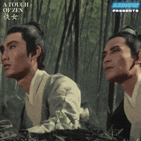 Martial Arts Fighting GIF by Arrow Video
