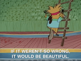 angry beavers nicksplat GIF