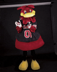 Clap Dancing GIF by University of South Carolina