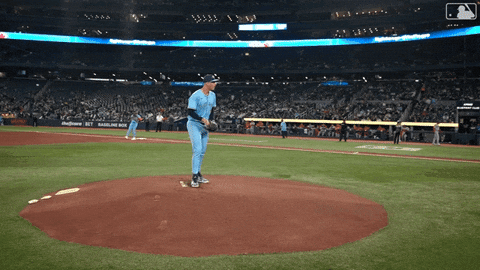 Baseball Mlb GIF by Toronto Blue Jays