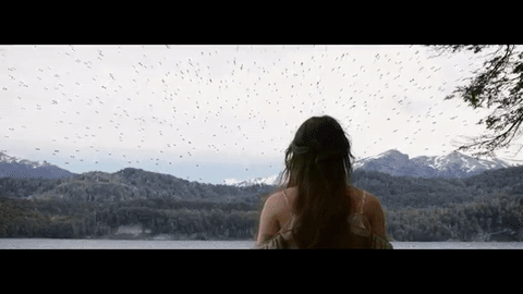 ego GIF by Sony Music Perú