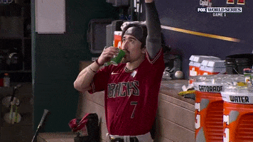 Major League Baseball Sport GIF by MLB