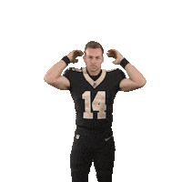 Nfl Football Sticker by New Orleans Saints