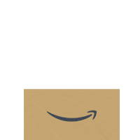 Holiday Magic Sticker by Amazon