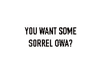 Christmas Sorrel Sticker