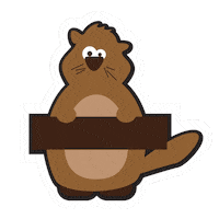 employer-branding-allegro allegro allegrodobrzetubyć dobrzetubyć karierawallegro Sticker