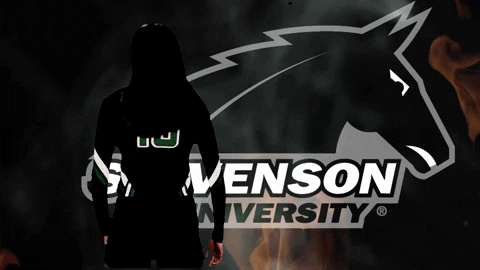 gomustangsports giphyupload volleyball vb gomustangsports GIF