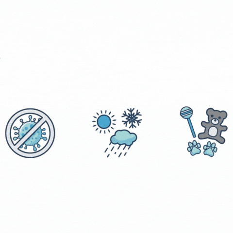 MyMagicCarpet clean bacteria germs mmc GIF