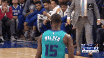 happy charlotte hornets GIF by NBA