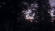 Forest Woods GIF by The Kid LAROI.
