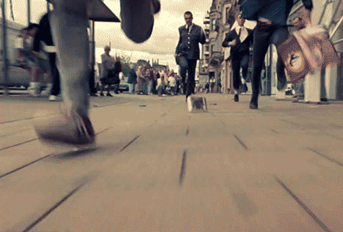 last one GIF
