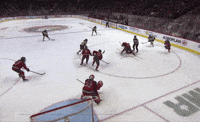 Hockey Save GIF