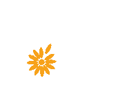 Charity Donate Now Sticker by Wishlist - Sunshine Coast Health Foundation