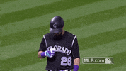 sky points GIF by MLB