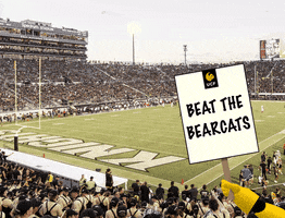 ucf knights GIF by UCF