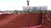 wapoficial  GIF