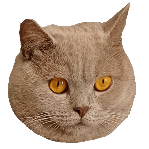 Angry Art Sticker by ogato_design