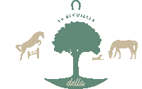 Team Scuderia Sticker by My Events Digital