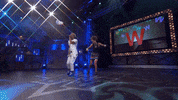 whip and nae nae dancing GIF by Wonderama