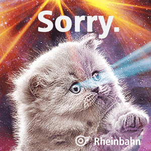 Sorry Cat GIF by Rheinbahn