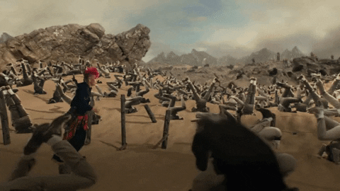 Dave Meyers GIF by P!NK