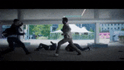 GIF by Signature Entertainment