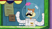 season 9 the fish bowl GIF by SpongeBob SquarePants