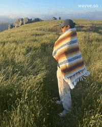 Trending Vibe GIF by Darwin