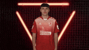 Ssv Jahn Regensburg Cheering GIF by Bundesliga