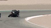 Brand Adventure GIF by Harley-Davidson