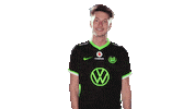 E Sports Sport Sticker by VfL Wolfsburg