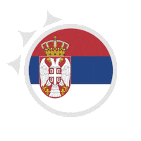 represent world cup Sticker by FIBA