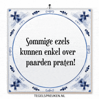 Humor Nl GIF by Tegelspreuken.nl