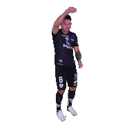 Sexy Soccer Sticker by INDEPENDIENTE DEL VALLE