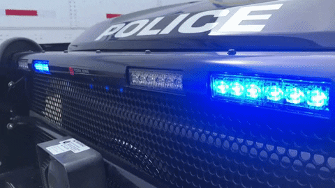 MSOSheriff  GIF