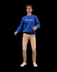 ZaakSchoon zaakschoon GIF