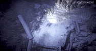Wasteland 3 Ix GIF by Xbox