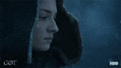 Season 7 Hbo GIF by Game of Thrones