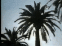 Los Angeles Sun GIF by U.S. National Archives