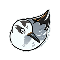 Firuo_drawingbirds bird 鳥 鷸鳥 phalarope Sticker