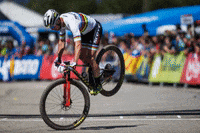 GIF by UCI