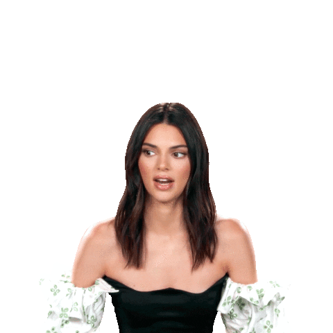 Keeping Up With The Kardashians Omg Sticker by E!