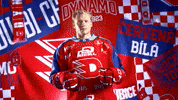 Hockeytown GIF by HC Dynamo Pardubice