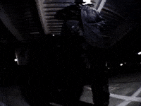 Wolf Bass GIF by IDK