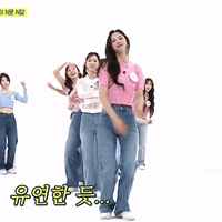 K Pop Fly GIF