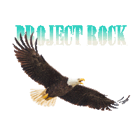 Train Hard The Rock Sticker by ProjectRock