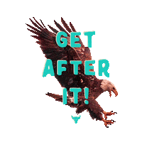 Train Hard The Rock Sticker by ProjectRock