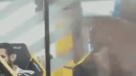 Neo GIF by Team Vitality