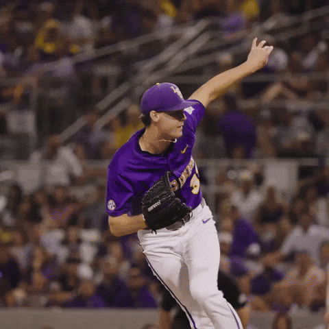 College Sports Yes GIF by LSU Tigers