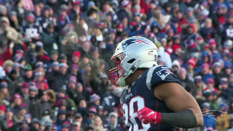 2018 Nfl No GIF by New England Patriots